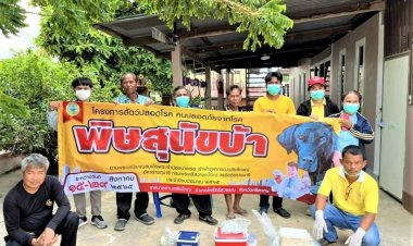 นายกเทศมนตรีตำบลผือใหญ่ ใส่ใจชาวบ้าน สั่งลูกน้องลุย! ออกฉีดวัคซีนป้องกันโรคพิษหมาบ้าถ้วนทั่วทุกครัวเรือน