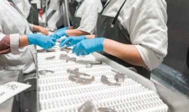 สมาคมกุ้งไทย เข้าพบอธิบดีกรมประมง ร้องขอมาตรการเร่งด่วนแก้ปัญหาโรคกุ้ง