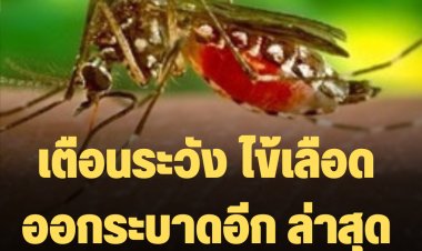 กรมควบคุมโรคแจ้งเตือนระวัง ไข้เลือดออกระบาดอีก ล่าสุดดับแล้ว 14 ราย
