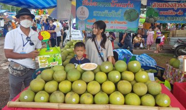 “ม่วนกรุ๊ปนางรำ” เทศกาลส้มโอบ้านแท่น ของดีจังหวัดชัยภูมิ (ชมคลิป)