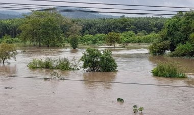 ฝนถล่มชายแดนศรีสะเกษน้ำป่าไหลทะลักเอ่อลำห้วยตึ๊อชูท่วมนาข้าววงกว้าง