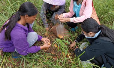 ฝนตกชุกคนโคราชแห่เข้าป่าเก็บเห็ด-หน่อไม้เปิบเมนูเด็ด ขายสร้างรายได้เสริม