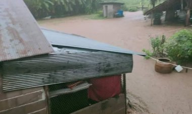 อ่วม "พายุหมาอ๊อน" ถล่ม อ.ท่าสองยาง น้ำท่วม ต้นไม้ใหญ่ล้มทับขวางถนน