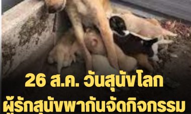 26 ส.ค. วันสุนัขโลก เป็นวันพิเศษสำหรับผู้รักสุนัข