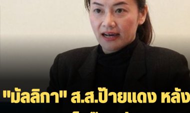 "มัลลิกา" ส.ส.ป้ายแดง หลัง ส.ส. ปชป.ไขก๊อกอีก 2 ราย