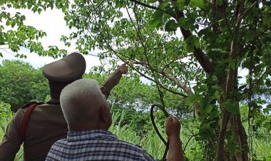 ญาติร่ำไห้!!หนุ่มป่วยซึมเศร้าปีนต้นไม้สูง ใช้สายพานรถไถรัดคอดับใต้ต้นไม้