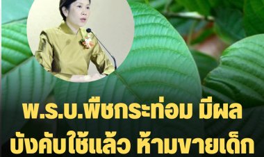 พ.ร.บ.พืชกระท่อม มีผลบังคับใช้แล้ว ห้ามขายเด็กต่ำ18 หญิงมีครรภ์/ให้นมบุตร กำหนดสถานที่ห้ามขาย