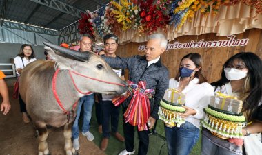 ฮือฮา...!'สุวัจน์' หอบสินสอด ขาด 1 บาท ครบ 4 ล้านสู่ขอ 2 ควายสาวเมืองย่าโม