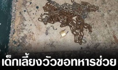 เด็กเลี้ยงวัวขอทหารช่วย ถูกน้องนักการเมืองจับล่าม-ทารุณ