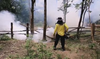 สคร.9 โคราช เผย 4 จังหวัด อีสานล่าง พบป่วยไข้เลือดออก เกือบ 1 พันราย ดับ 1