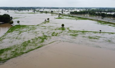 ท่วมซ้ำซากทุกปี!ชาวนาทุกข์หนัก น้ำขังนาน สูงเกินเมตร ข้าวกำลังโตจมเสียหายหมด