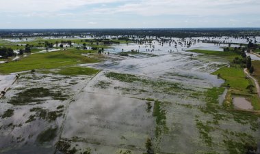โคราชฝนตกหนักต่อเนื่องทำน้ำท่วม 13 อำเภอ พื้นที่การเกษตรเสียหายเกือบ 6 หมื่นไร่