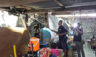 ตาห่วงยาย!! ลั่นเมียใคร ใครก็รัก หลังโมโหงูเหลือมเข้ามากินแมวบ่อยครั้ง