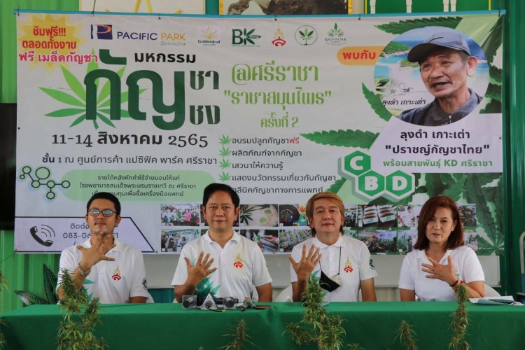 ต่อยอดความสำเร็จ งานมหกรรมกัญชา-กัญชง@ ศรีราชา “ ราชาสมุนไพร” พร้อมจัดอย่างยิ่งใหญ่อีกครั้ง 11-14 ส.ค.นี้