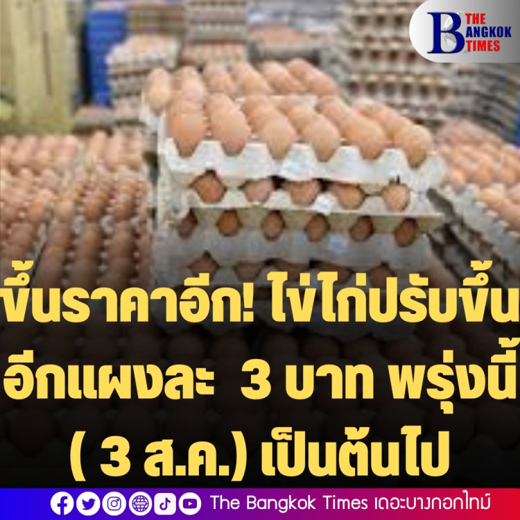 ขึ้นราคาอีก! ไข่ไก่ปรับขึ้นอีกแผงละ  3 บาท พรุ่งนี้ ( 3 ส.ค.) เป็นต้นไป