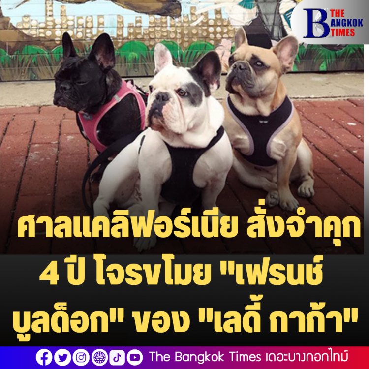 ศาลแคลิฟอร์เนีย สั่งจำคุก 4 ปี โจรขโมย "เฟรนช์ บูลด็อก" ของ เ"ลดี้ กาก้า"