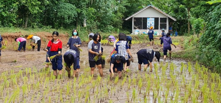 ร.ร.โนนคูณวิทยาคาร รัชมังคลาภิเษก จัดกิจกรรม“ดำวันแม่ เกี่ยววันพ่อ”