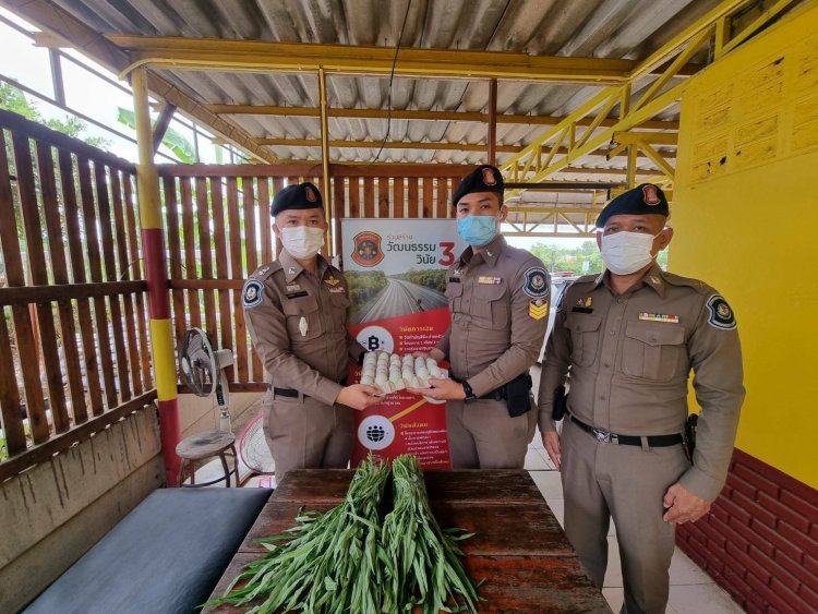 ตร.ทางหลวงเพชรบูรณ์ ดำเนินโครงการเศรษฐกิจพอเพียงให้กำลังพลและครอบครัว