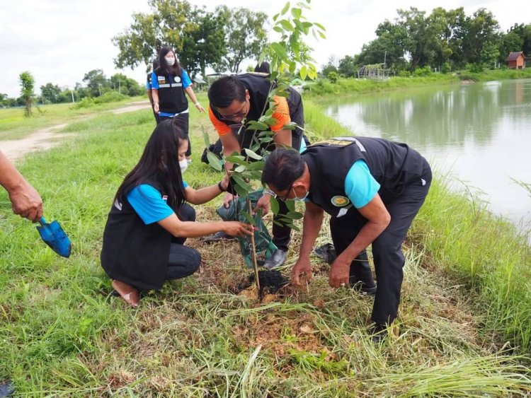 นายกเทศมนตรีตำบลหนองใหญ่เป็นประธานในพิธี รวมใจท้องถิ่นปลูกต้นไม้เพื่อแผ่นดินสืบสานสู่ ๙๐ ล้านต้น