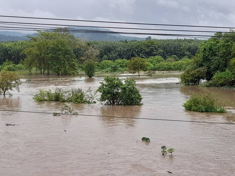 ฝนถล่มชายแดนศรีสะเกษน้ำป่าไหลทะลักเอ่อลำห้วยตึ๊อชูท่วมนาข้าววงกว้าง