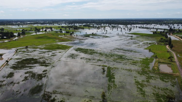 โคราชฝนตกหนักต่อเนื่องทำน้ำท่วม 13 อำเภอ พื้นที่การเกษตรเสียหายเกือบ 6 หมื่นไร่