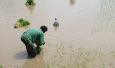 ดาวเทียมพบน้ำท่วมขังพื้นที่ 3 ลุ่มน้ำสำคัญอีสานกว่า 3 แสนไร่
