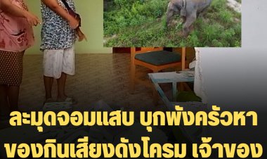 ละมุดจอมแสบ บุกพังครัวหาของกินเสียงดังโครม เจ้าของบ้านโดดหน้าต่างหนีแทบไม่ทัน (มีคลิป)