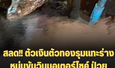 สุุดสลด!! ตัวเงินตัวทองรุมแทะร่างหนุ่มขับวินมอเตอร์ไซค์ ป่วยความดันเสียชีวิตในบ้านพัก
