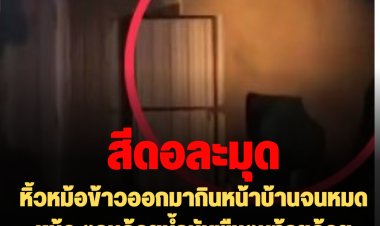 ละมุดตัวแสบแวะบ้านหลังใหม่!!  หิ้วหม้อข้าวออกมากินหน้าบ้านจนหมดหม้อ ตามด้วยน้ำมันพืชตบท้ายด้วยผงชูรส อิ่มแล้วเผ่นหนี (มีคลิป)