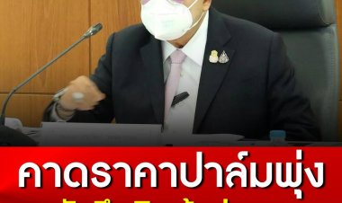 “ประวิตร”คาดราคาปาล์มพุ่ง7.50บาท หวังดันให้เป็นพืชเศรษฐกิจต้นแบบไทยดึงเงินเข้าประเทศได้กว่า 7หมื่นล้านบาท