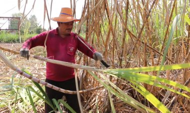ชาวไร่อ้อย 20 จว.อีสานขู่บุกทำเนียบ 10 ก.ย.ทวงเงินตัดอ้อยสดลดฝุ่นตันละ120บาท