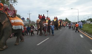 ปัตตานีปิดเมืองแห่ขบวนช้างประเพณีมลายู ปาตานี"มหกรรมอาซูรอสัมพันธ์"ท่ามกลางตื่นตาตื่นใจ