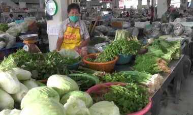 แม่ค้าขายผักชัยภูมิโอดถูกฝนถล่มน้ำท่วมแปลงผักชีพุ่งกิโล 200 บาท