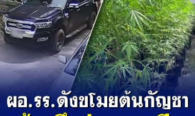 ผอ.โรงเรียนดัง ดีกรี ดร. "ขโมยต้นกัญชา" อ้างนึกว่าแจกฟรี!