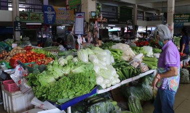 พืชผักพุ่งพรวดรับเทศกาลกินเจผลพวงจากแหล่งเพาะปลูกถูกน้ำท่วมผลผลิตเสียหายหนัก