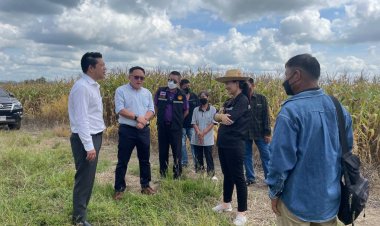 อบจ.ตาก-อบต.แม่ปะ ลุยสำรวจปรับปรุงเส้นทางเพื่อการเกษตร หาแนวทางช่วยเหลือประชาชน