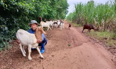 คุณครูใช้เวลาว่างจากการสอนเสาร์อาทิตย์ ช่วยพ่อเลี้ยงแพะ ผอ.เขตปลื้ม เป็นแบบอย่างที่ดี