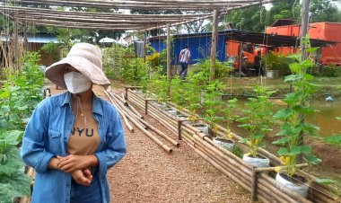 สถาบันบริหารจัดการที่ดินกับภารกิจวิสาหกิจชุมชนศาสตร์พระราชาบ้านมั่นคงเมืองแม่สอด อ.แม่สอด