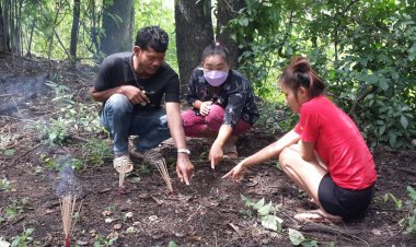 ชาวบ้านฮือฮา!!พบเห็ดคล้ายรูปดาวแปลก คล้ายเห็ดดาวดิน” สุดหายาก 1 ใน 10 ของโลก