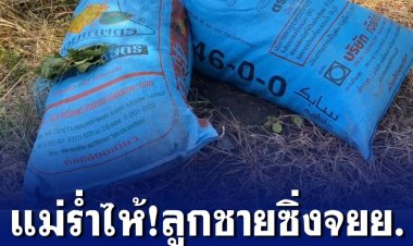 หนุ่มซิ่ง จยย.หอบกระท่อม 3 กระสอบส่งลูกค้า ถูกกระบะชนดับ แม่ เผย ลูกเพิ่งกลับใจเป็นคนดีขยันทำมาหากิน