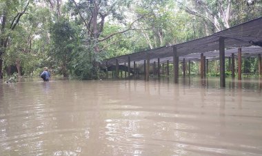ฝนถล่มสถานีเพาะพันธุ์กล้าไม้ศรีสะเกษ จมบาดาล ต้นไม้โค่นล้มระเนระนาด ขวางถนน ไม่สามารถเข้าออกได้