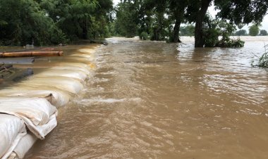 ชัยภูมิยังไม่พ้นวิกฤตโนรู น้ำยังท่วมขยายวงกว้าง-ชาวบ้านผู้เลี้ยงวัวควายโอดขาดแคลนหญ้าฟาง