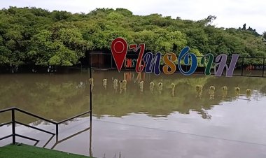 แม่น้ำมูลเอ่อสูงท่วมอุทยานไทรงามพิมายอายุกว่า 350 ปี-เขื่อนพิมายเร่งพร่องน้ำป้องกันเขตเศรษฐกิจ