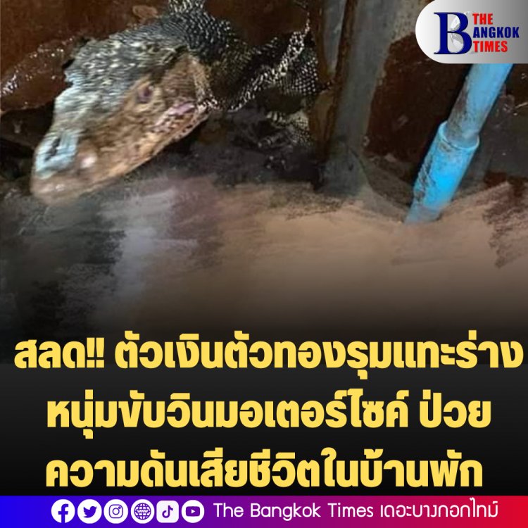 สุุดสลด!! ตัวเงินตัวทองรุมแทะร่างหนุ่มขับวินมอเตอร์ไซค์ ป่วยความดันเสียชีวิตในบ้านพัก