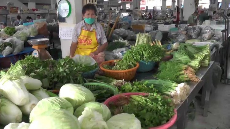 แม่ค้าขายผักชัยภูมิโอดถูกฝนถล่มน้ำท่วมแปลงผักชีพุ่งกิโล 200 บาท