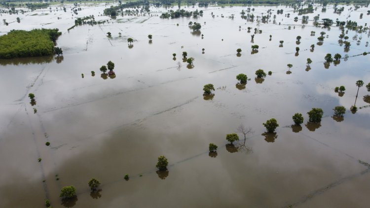 ฝนตกหนักไหลสมทบน้ำมูลทะลักท่วมนาข้าวในอำเภอเมืองยางรอบ2พังนับหมื่นไร่