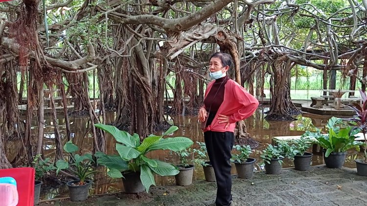 มวลน้ำก้อนใหญ่ไหลสมทบน้ำมูลเพิ่มสูงต่อเนื่องทะลักท่วมอุทยานไทรงามเมืองพิมาย