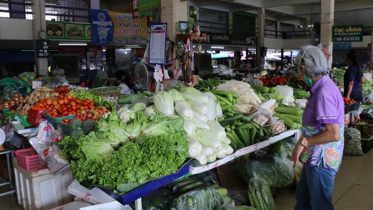 พืชผักพุ่งพรวดรับเทศกาลกินเจผลพวงจากแหล่งเพาะปลูกถูกน้ำท่วมผลผลิตเสียหายหนัก