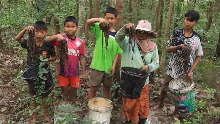 ชาวบ้านศรีสะเกษพลิกวิกฤติน้ำท่วมจับไส้เดือนหนีน้ำท่วมขึ้นบกขายหารายได้ซื้อปุ๋ยใส่นาข้าว