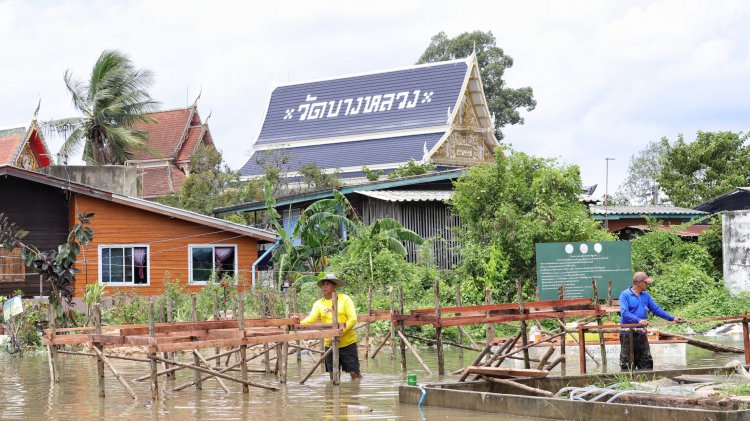 ทต.บางหลวงเร่งสร้างสะพานไม้ หลังน้ำเจ้าพระยาทะลักท่วมชุมชนวัดบางหลวงเมืองปทุมธานี